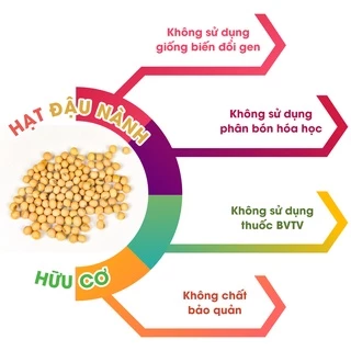 [1kg] Hạt Giống Đậu Nành (Đậu Tương) Hữu Cơ Thuần Chủng Tự Nhiên (không biến đổi Gen)