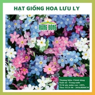 Hạt giống hoa lưu ly nhiều màu đẹp dễ trồng chăm sóc tỉ lệ  nảy mầm cao 0,03g RADO 0887