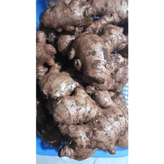 củ gừng ta(500G)