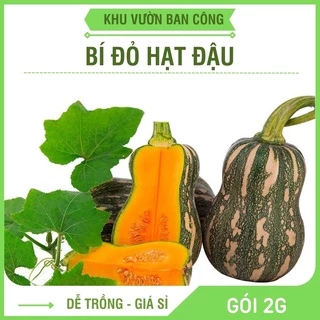 Hạt Giống Bí Đỏ Hạt Đậu (Hồ Lô) Rau Củ Qủa Trồng Sân Thượng Ngon Ngọt Gói 2G -Khu Vườn Ban Công