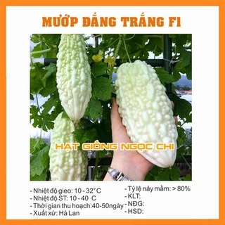 Hạt Giống Mướp Đắng Trắng (Khổ Qua Bạch Tuyết, Bạch Ngọc) - 10H