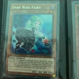 Bài yugioh: dark rose fairy
