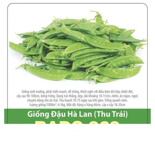 Hạt Giống Đậu Hà Lan (Thu Trái) Năng Suất Cao 10gr