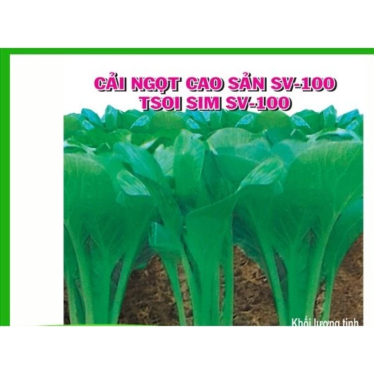 20g hạt giống cải ngọt sinh trưởng khỏe phát triển mạnh mẽ tỉ lệ nảy mầm cao