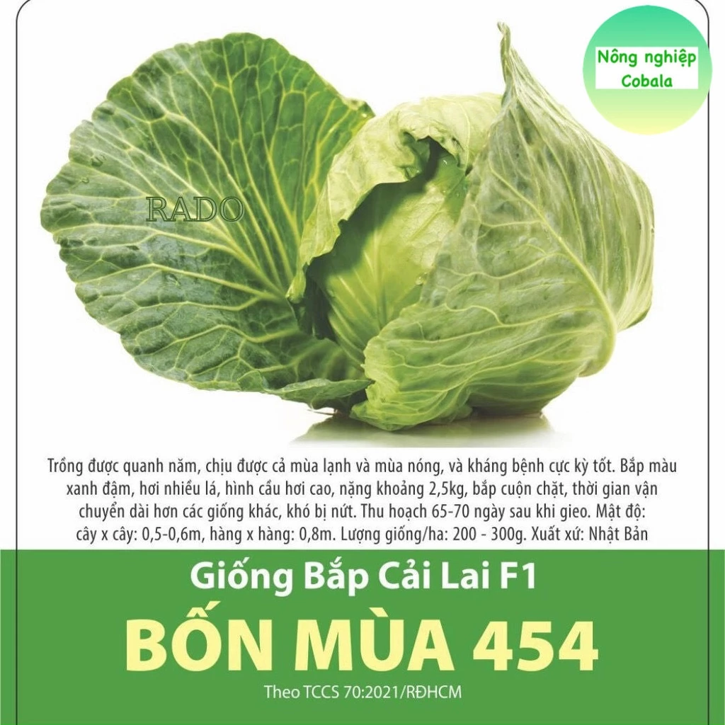 Hạt Giống Bắp Cải Lai F1 (BỐN MÙA 454) 0.5gr