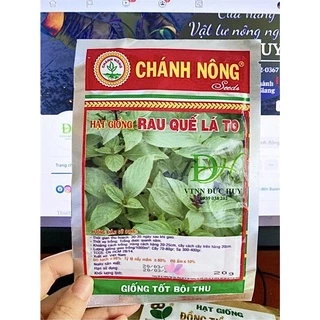 Hạt giống Rau Quế lá to (gói 20 gam) - CHÁNH NÔNG