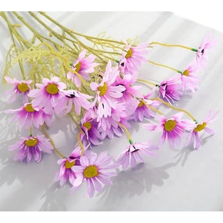 Hoa cúc họa mi màu tím tươi cắm bình để bàn siêu xinh