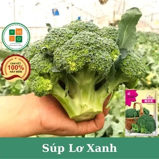 Hạt giống súp lơ xanh