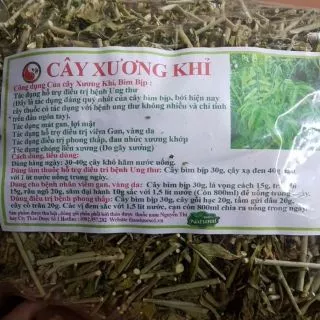 Cây Xương Khỉ,Bìm Bịp Khô