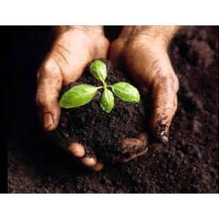 1kg đất giàu dinh dưỡng trồng cây