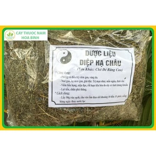 100g diệp hạ châu/chó đẻ răng cưa (khô, sạch, đẹp)