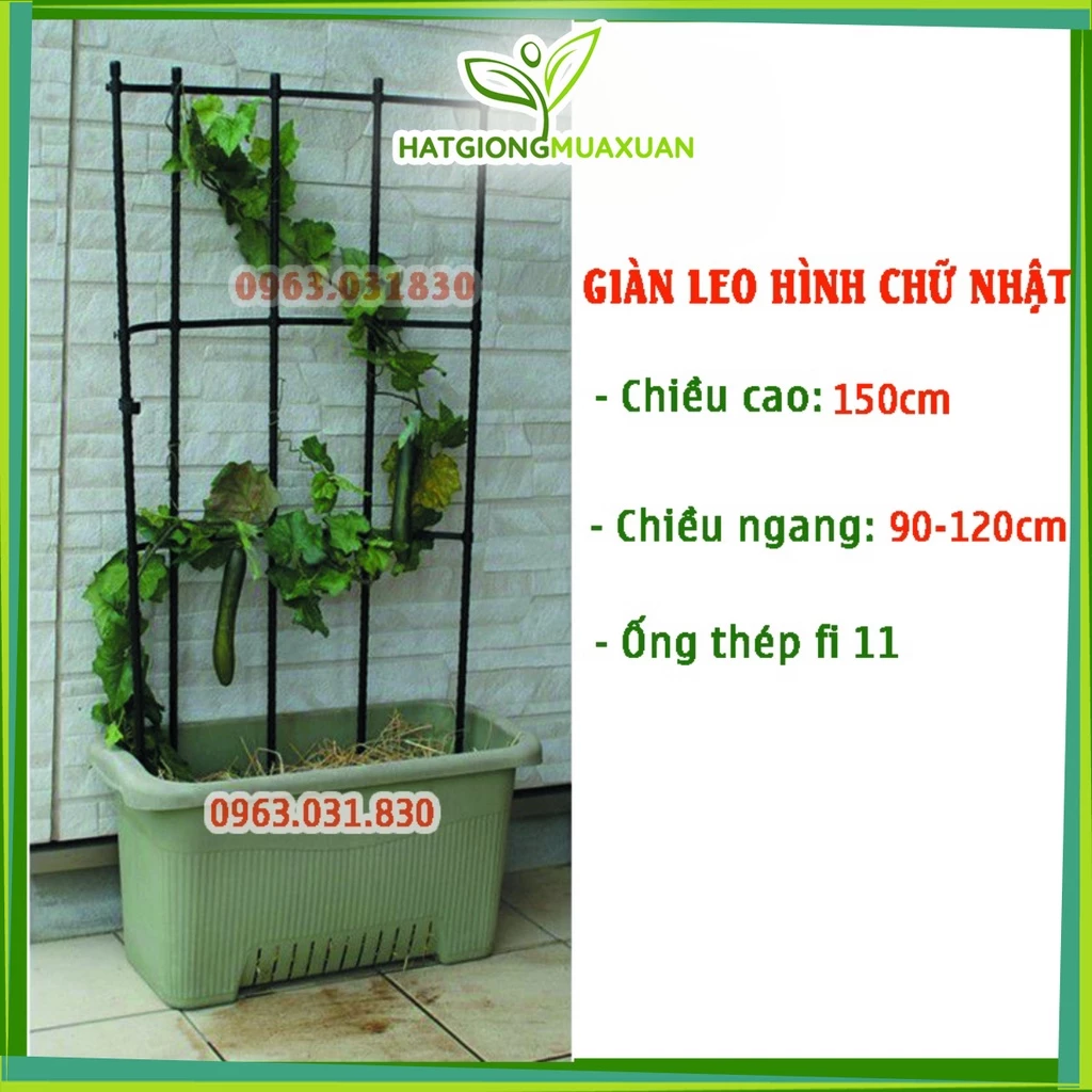 Khung leo cho cây Cao 1m5 - Khung trồng cây giàn leo mồng tơi, cà chua, đậu leo...