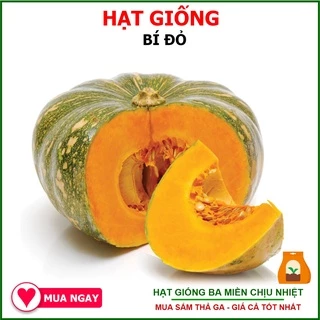 Hạt Giống Bí Đỏ Tròn F1 Năng Suất Cao Gói 2gram