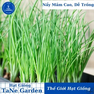 2Gr Hạt Giống Hành Hương - TaNe Garden