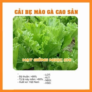 Hạt Giống Cải Bẹ Mào Gà Cao Sản - 20Gr