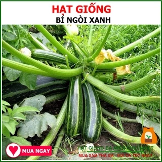 Hạt Giống Bí Ngòi Rạng Đông 1 Gram