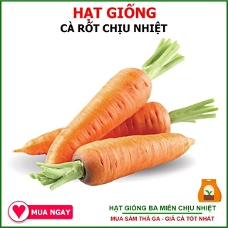 Hạt Giống Cà Rốt Dễ Trồng 5Gram