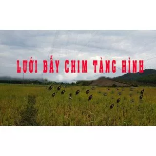 Lưới bẫy chim tàng hình 7Phân Cao 5m dài 50m