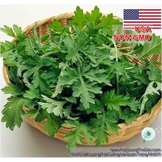 50h Hạt Giống Ngải Cứu Mugwort (| A4*W50*M301)