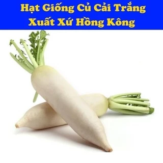 Hật Giống Củ Cải Trắng, Hạt Giống Nhập Khẩu Hồng Kông