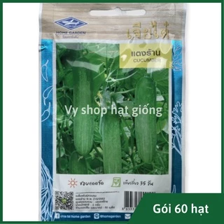 Hạt giống chưa chuột nếp lai (dưa leo) Thái Lan gói 60 hạt