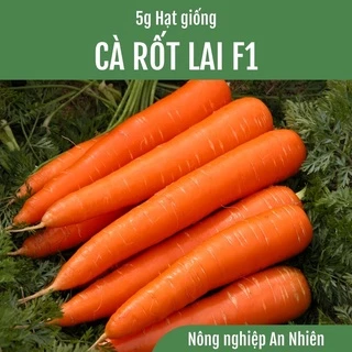 Hạt giống CÀ RỐT F1 5g cực dễ trồng