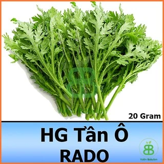 Hạt Giống Rau Tần Ô 20G