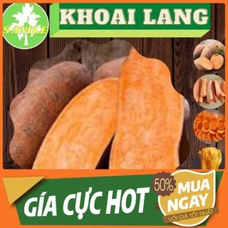 Khoai Lang Mật, Khoai Lang, Khoai Mật, Khoai Lang Mật Đà Lạt, Khoai Lang Mật Ong, Khoai Mật Tà Nung - Sam Le Shop