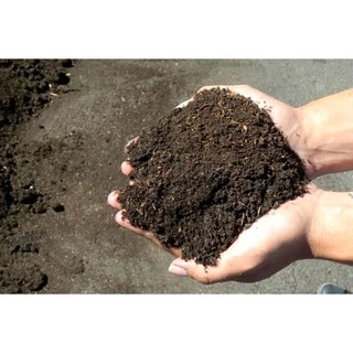 1 kg đất sạch trồng cây