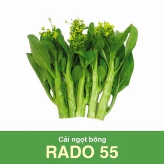 Hạt giống Cải ngọt bông Rd55 (20g)