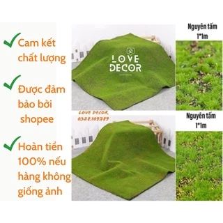 Thảm cỏ rêu nhân tạo decor nguyên tấm 1m*1m