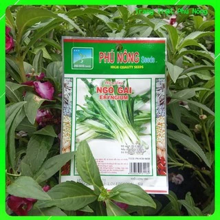 Hạt Giống Ngò Gai Phú Nông - Gói 5g - Eryngium