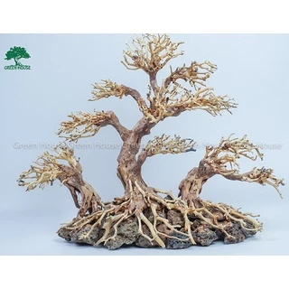 Lũa Bonsai, Lũa thủy sinh dùng trang trí hồ cá cảnh, hồ thủy sinh, văn phòng, nhà cửa (GH-BSR/07)