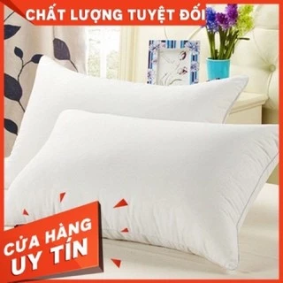 Ruột gối bông Gòn 2 chiếc