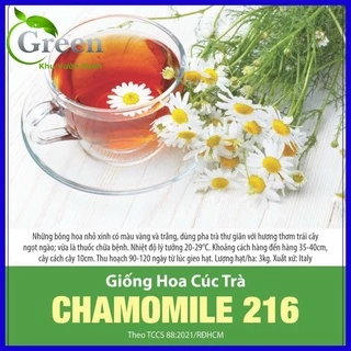 Hạt Giống Hoa Cúc Trà Chamomile xuất xứ Italy