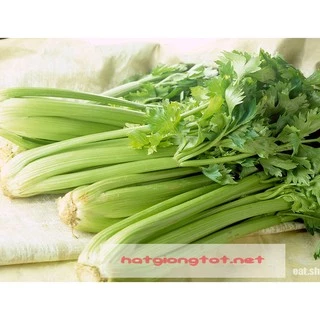 Hạt giống rau cần tây 10g