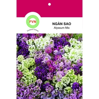 HẠT GIỐNG HOA NGÀN SAO NHIỀU MÀU FVN GÓI 15 HẠT - ALYSSUM MIX