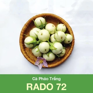 [Seeds] Hạt giống cà pháo trắng Rado72, đóng gói 0.5gr