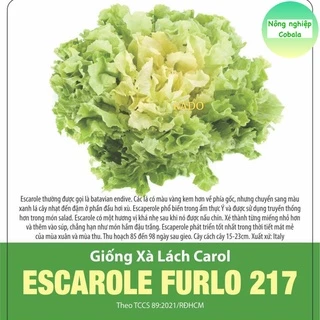 Hạt Giống Xà Lách Carol (217) 5gr