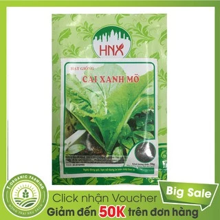 Hạt Giống Rau Cải Bẹ Xanh Mỡ 20g - Dễ Trồng, Mau Lớn