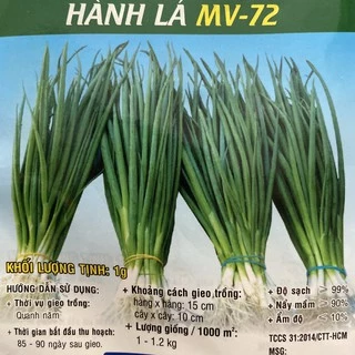 1g HẠT GIỐNG HÀNH LÁ (HÀNH HƯƠNG) CAO SẢN