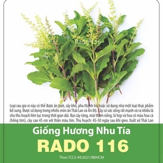 Hạt giống Hương Nhu tía Rado 116 (1g) Rạng Đông | VTNN Cần Thơ