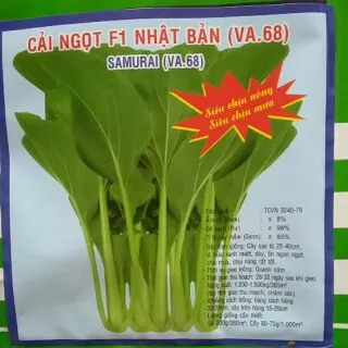 Cải ngọt F1 Nhật Bản