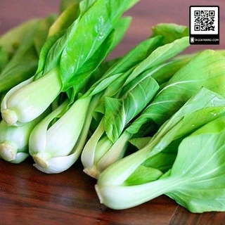 Hạt giống cải thìa trắng (cải bẹ trắng)