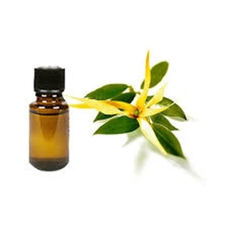 TINH DẦU NGỌC LAN TÂY (YLANG)