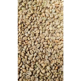 Nhân CAFE Sống ROBUSTAR (1kg Hàng Chọn Lọc ,Hàng Chuẩn )