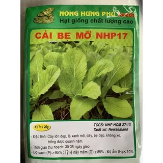 Hạt giống Cải bẹ mỡ NHP17 - 20gr (NK New Zealand)