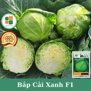 Hạt giống bắp cải chịu nhiệt F1