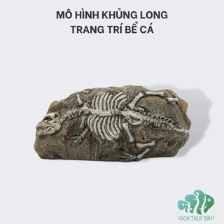 Mô hình bộ hoá thạch thời tiền sử trang trí bể cá, bể thuỷ sinh