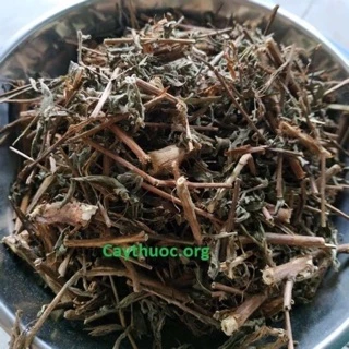 Combo 2 kg Cây Rau mương dạ dày ( Cây khô) hỗ trợ đau dạ dày ợ chua